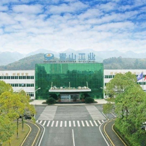 中国制造业力量崛起：青山工业跻身百强，电动化技术成突破