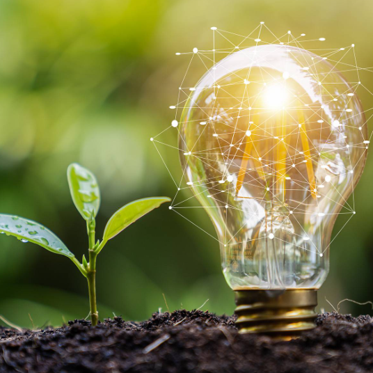 未来之光：绿色革命在环保展会上绽放