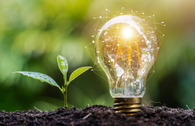 未来之光：绿色革命在环保展会上绽放