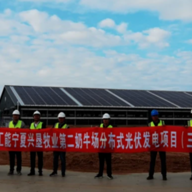 宁夏兴垦牧业：养牛场不仅产奶，还能发电！