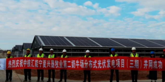 宁夏 光伏新能源 宁夏兴垦牧业:养牛场不仅产奶,还能发电!
