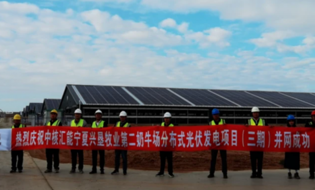 宁夏兴垦牧业：养牛场不仅产奶，还能发电！