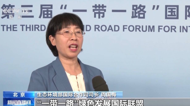 国家电投签署一带一路合作项目，助力清洁能源和绿色产业发展